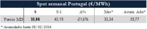 Icon of TABLA MAGNITUDES RELEVANTES SPOT PT