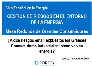 Icon of 2009 06 Fortia Club Energia Gestion De Riesgos