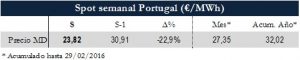 Icon of TABLA MAGNITUDES RELEVANTES SPOT PT