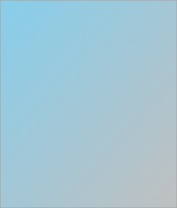 Icon of Img0001