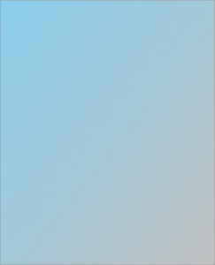 Icon of Img0001